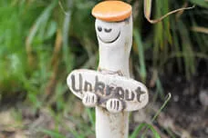 Kräuterstecker Bild 0