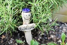 Kräuterstecker Bild 2