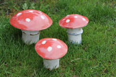 Pilze
