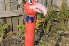 Vogelköpfe Bild 1