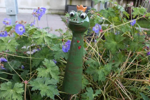 Froschkoenig- Froschkoenig-