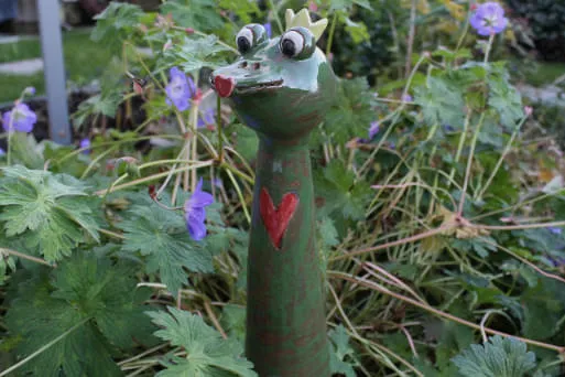 Froschkoenig-Herzmund Froschkoenig-Herzmund