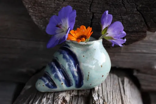 Muschel-Vase Muschel-Vase