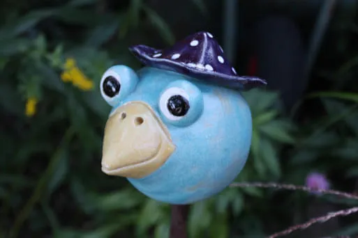 Vogel-mit-Hut- Vogel-mit-Hut-